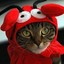 Lobstercat