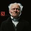 Schopenhauer Doto