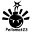 Peilomat23