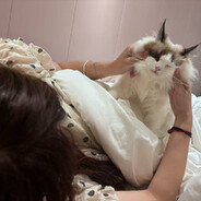 喜欢一片小雪花