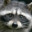 ATrashyRaccoon