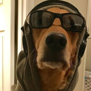 digdin