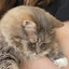 RosemaryRosie
