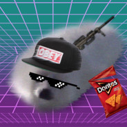 瑞克五代就找我，我是丁真不错过