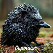 ВоронËж