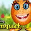 hot kumquat