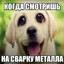 Чарон Бейби
