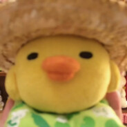 那个不为人知的故事