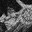 Alucard