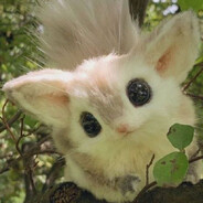 дHямN_u_n04AмИ . . .