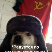 собачий кумыс