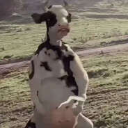 牛牛宝宝大嘟嘟