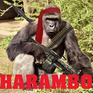 Harambo ︻デ 一