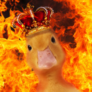duck_master avatar