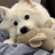 卡拉你冲不冲？？