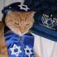 做最优质的战士