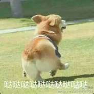 我是大灰狼i