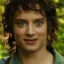 Mr.Frodo