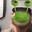 Greetings Fleshy Mammals