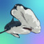 sharky