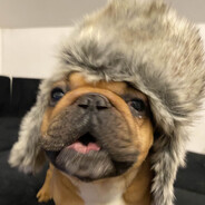 Kapeq