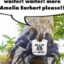 antz 4 dayz