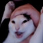 Bar0n
