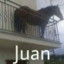 Juan