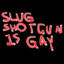 SLUG-SHOTGUN-IS-GAY