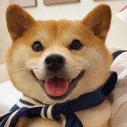 不爱我爱谁张翰吗