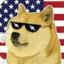 TheAmericanDoge