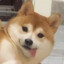小欧oooooooo