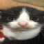 Sans