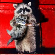 胜天半子祈同伟