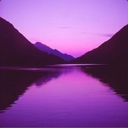 alternation of generations