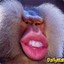 Monkey_Mouth