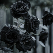 Ecuadorian Black Knights