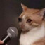 猫猫头CatCatHead