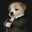 cachorrinho