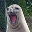 :D