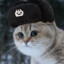 Славянский кот