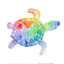 Gay Rainbow Turtle