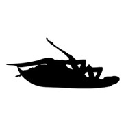 ROACH