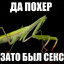 Богомол