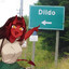 DILDO