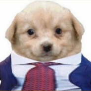 Business Casual Dog