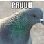 PRUUUUU