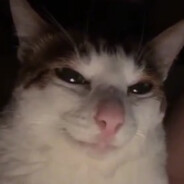Yanzii avatar