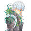 mushi