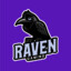 RAVEN™